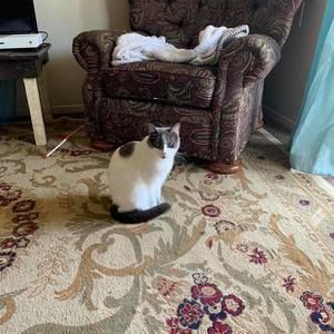 Meet your Posher, Annie